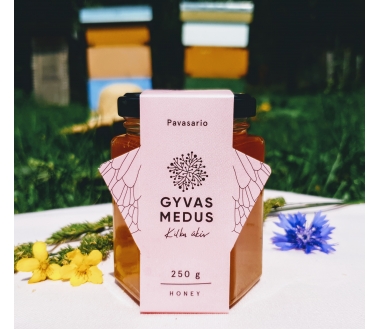 Spring honey 500g.