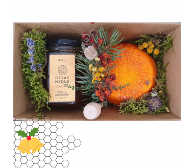 Christmas honey gift box with matured cheese "Linkėjimai"